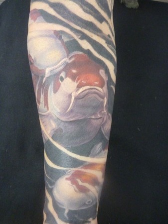 Mason - koi from another view